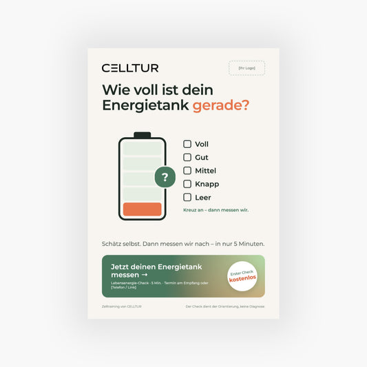 Flyer Motiv 1 - Lebensenergie-Check - DIN A5