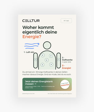 Flyer Motiv 3 - Lebensenergie-Check - DIN A5