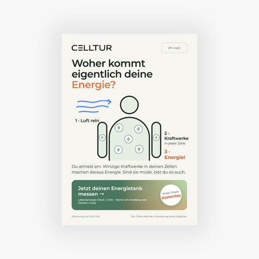Flyer Motiv 3 - Lebensenergie-Check - DIN A5
