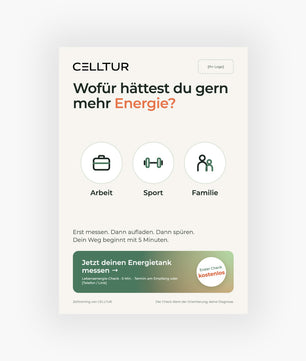 Flyer Motiv 5 - Lebensenergie-Check - DIN A5