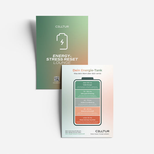 Stresslevel-Test Flyer A4