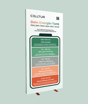 Lightbox 100 x 200 cm - Stressleveltest